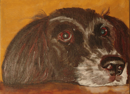 Niko - der Hund meiner Cousine